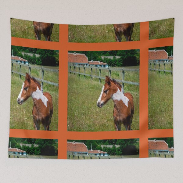 Item preview, FOAL IN HIS HABIT designed and sold by solgel47.