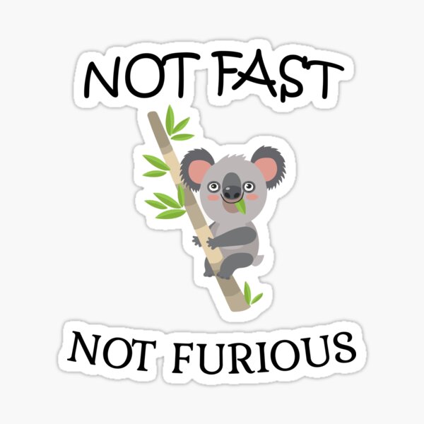 Retro | Vintage Not Fast Not Furious Sticker