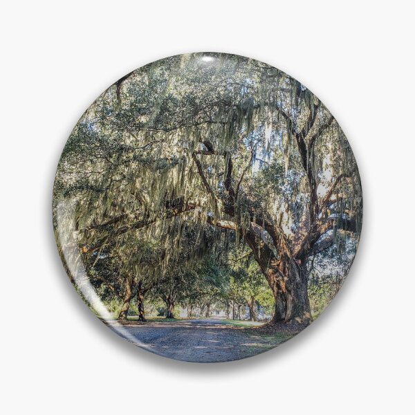 Item preview, Peace Road (Beaufort, South Carolina), Personal Photography Collection designed and sold by Rex Wyld.