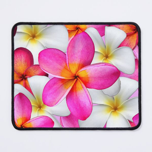 Item preview, Frangipani tropical brillante rosa y blanco flores de verano designed and sold by Lindsay Marie Patterns.