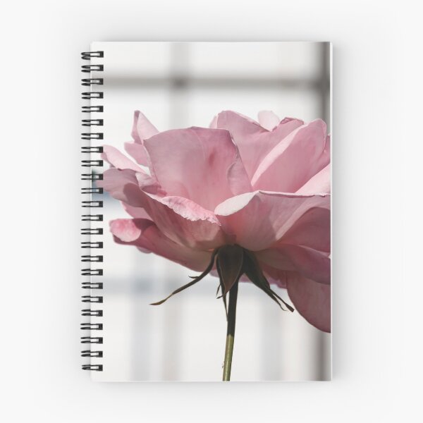 Item preview, Pink blooming rose designed and sold by EG Creativity Art.