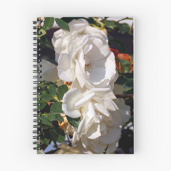 Item preview, White blooming roses designed and sold by EG Creativity Art.