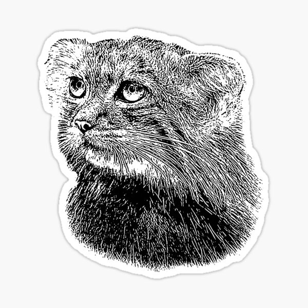 Vista previa del artículo con la obra «El gato de Manul-Pallas», diseñado y vendido por Guardi71.