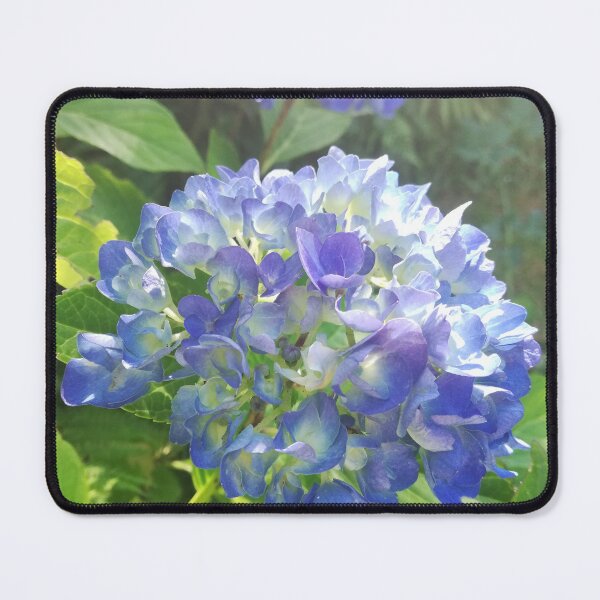 Item preview, Blue hydrangea photograph  designed and sold by esvb.