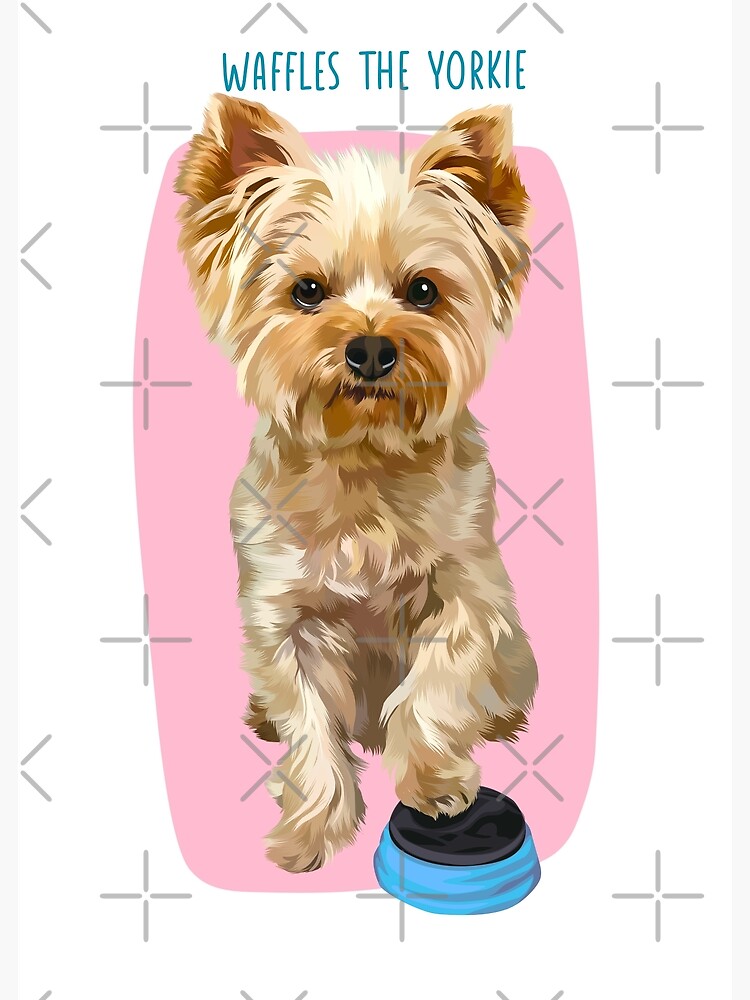 "Waffles The Yorkie with his talking button" Poster for Sale by