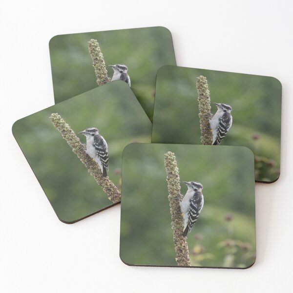 Item preview, Breakfast Time designed and sold by Anita Oakley.