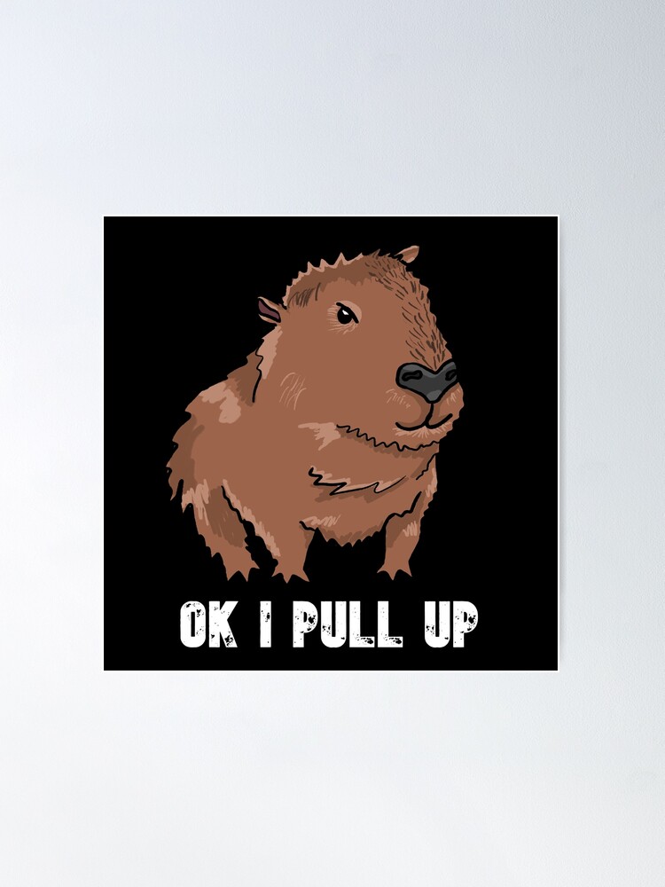 Capybara Meme Posters for Sale