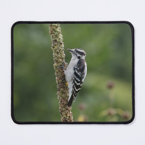 Item preview, Breakfast Time designed and sold by Anita Oakley.