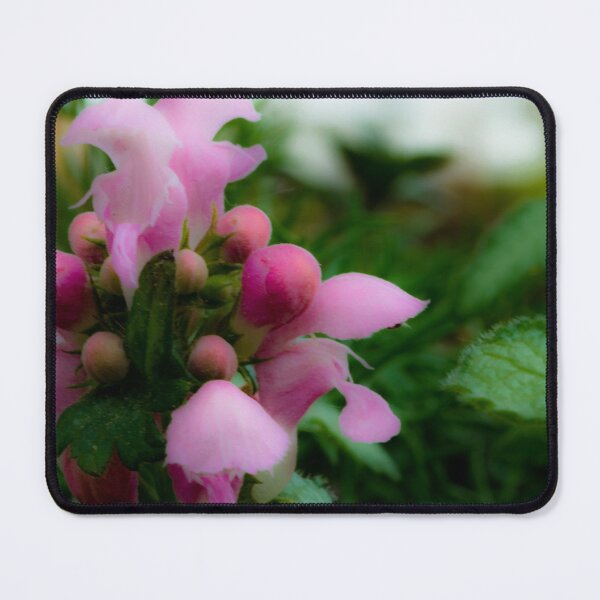 Item preview, Blossom in macro designed and sold by CanadianWild418.