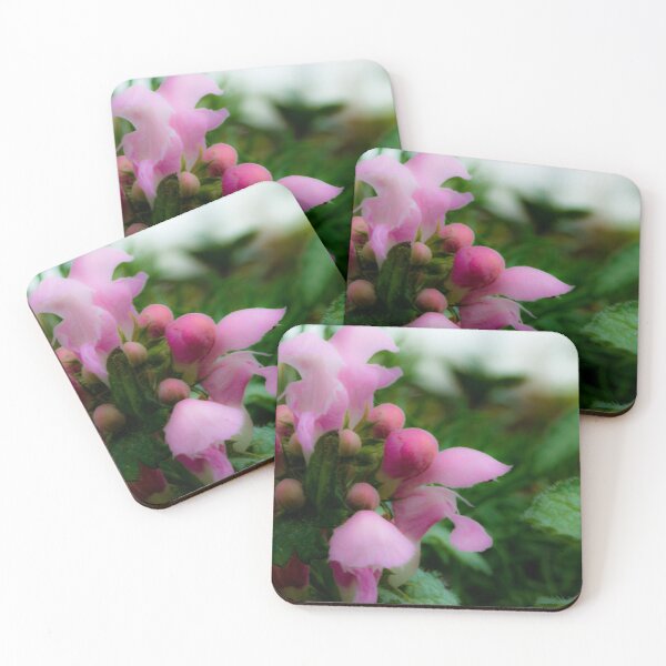 Item preview, Blossom in macro designed and sold by CanadianWild418.