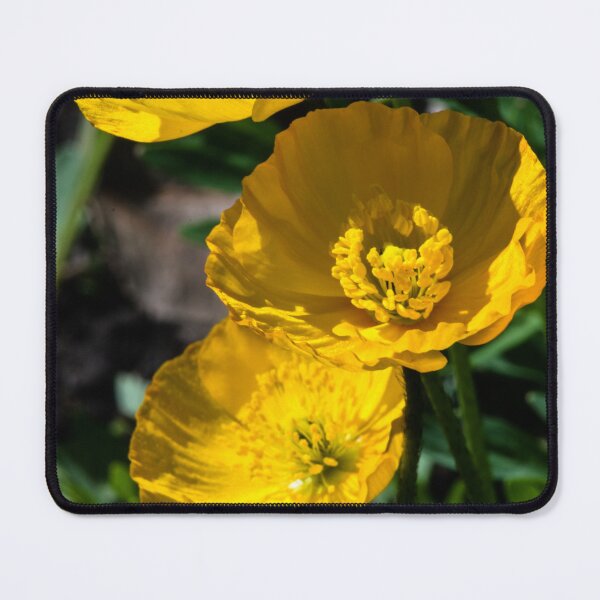 Item preview, Bursting blooms designed and sold by CanadianWild418.