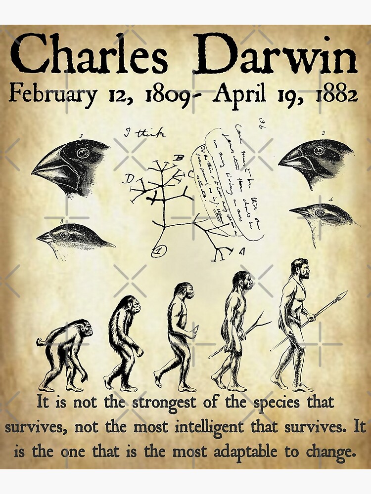 Disover Charles Darwin Evolution Vintage  Biology Science Teacher Design on Parchment Background Premium Matte Vertical Poster