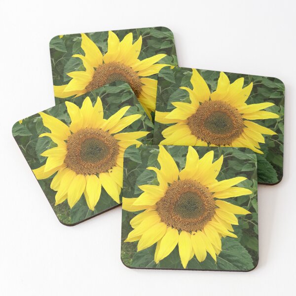 Item preview, Sunflower photograph designed and sold by esvb.