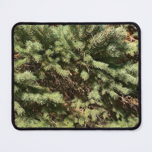 Item preview, Evergreens  designed and sold by Amanda1775.