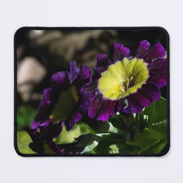Item preview, Spring blooms designed and sold by CanadianWild418.