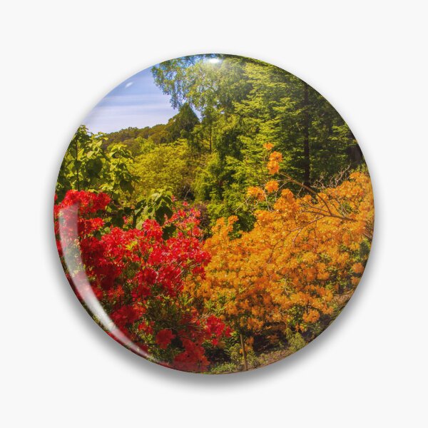 Item preview, Blaze of colour - Mt Lofty Botanic Garden designed and sold by indiafrankk.