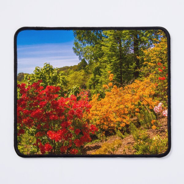 Item preview, Blaze of colour - Mt Lofty Botanic Garden designed and sold by indiafrankk.