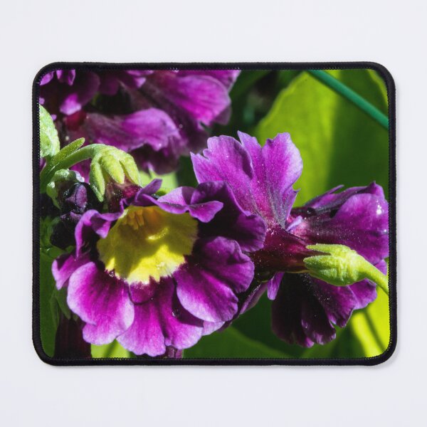 Item preview, Spring designed and sold by CanadianWild418.