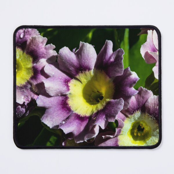 Item preview, Just flowers designed and sold by CanadianWild418.