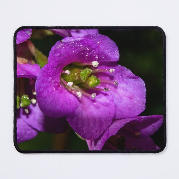 Item preview, Blooming purple designed and sold by CanadianWild418.
