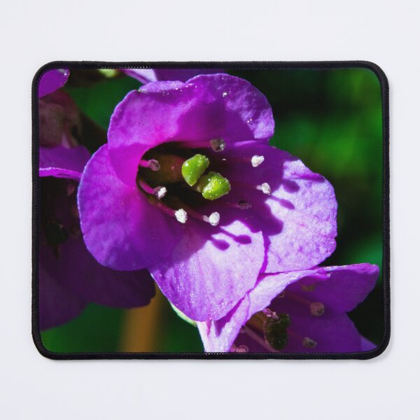 Item preview, Purple blooms designed and sold by CanadianWild418.
