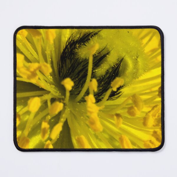 Item preview, Flower in macro designed and sold by CanadianWild418.