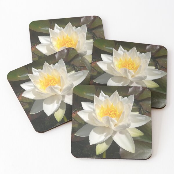 Item preview, Single white waterlily photograph  designed and sold by esvb.