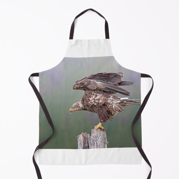 Item preview, Golden Eagle designed and sold by Alex Preiss.