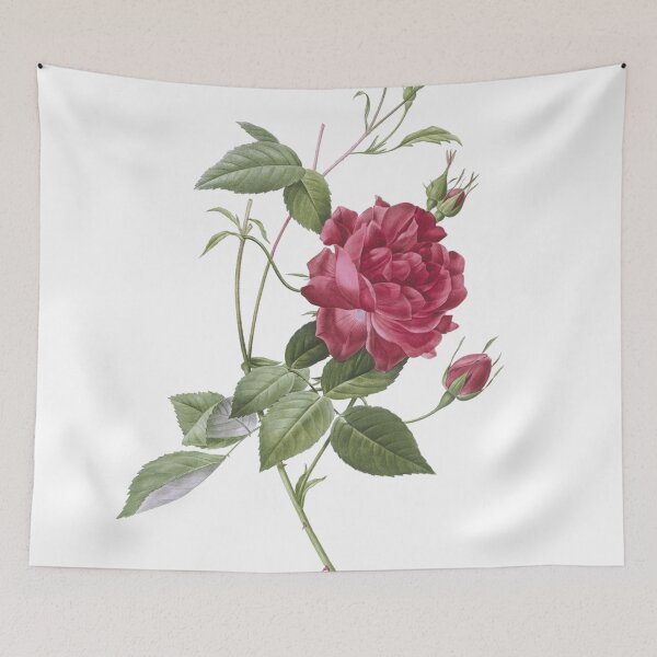 Item preview, Vintage Blood-Red Bengal Rose Botanical Illustration designed and sold by DinoCatastrophe.