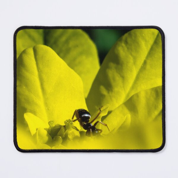 Item preview, Ant exploring a flower designed and sold by CanadianWild418.