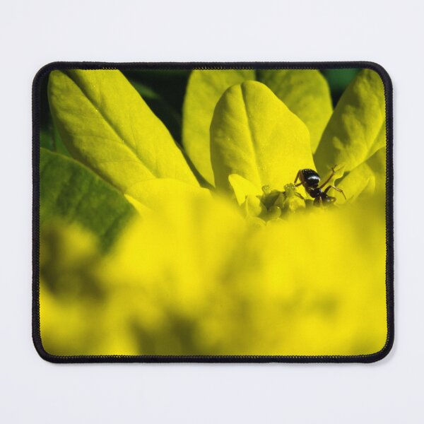 Item preview, Ant hiding on flower in macro designed and sold by CanadianWild418.