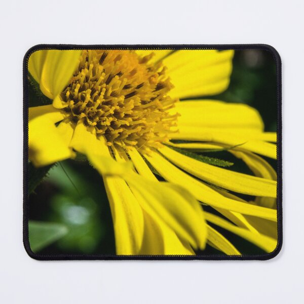 Item preview, Broken petals designed and sold by CanadianWild418.