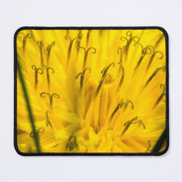 Item preview, Macro picture of a dandelion designed and sold by CanadianWild418.