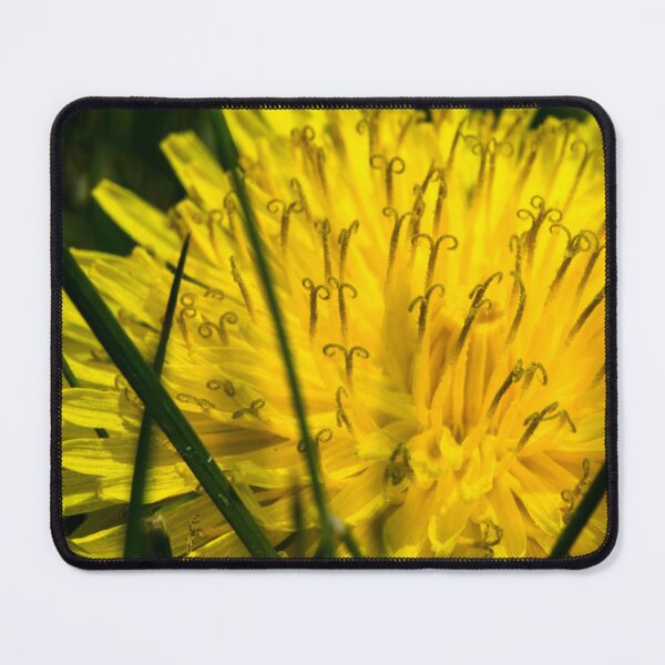 Item preview, Dandy designed and sold by CanadianWild418.