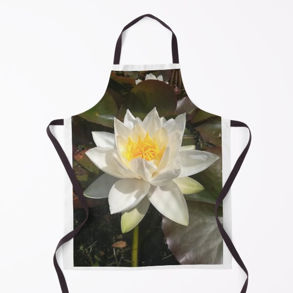Item preview, Single white waterlily photograph designed and sold by esvb.