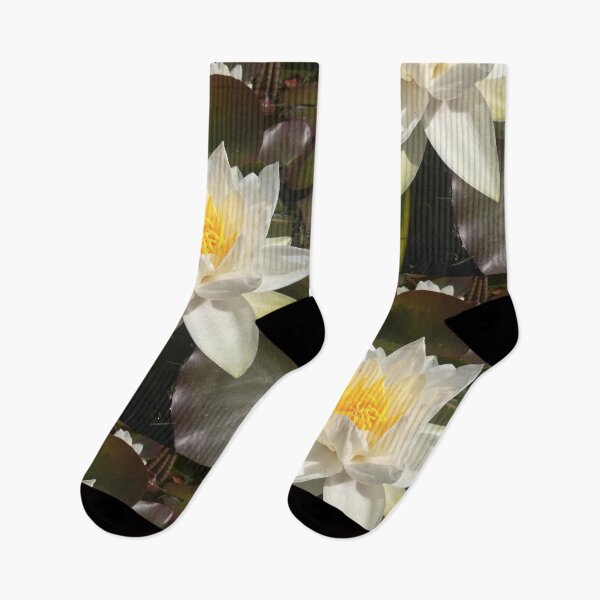 Item preview, Single white waterlily photograph  designed and sold by esvb.