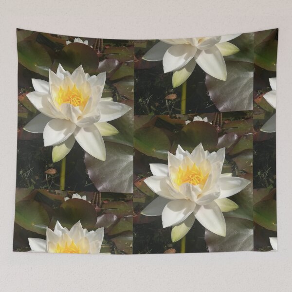 Item preview, Single white waterlily photograph  designed and sold by esvb.