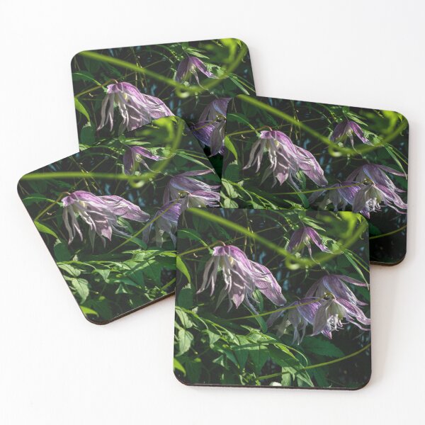 Item preview, Blossoms on the vine designed and sold by CanadianWild418.