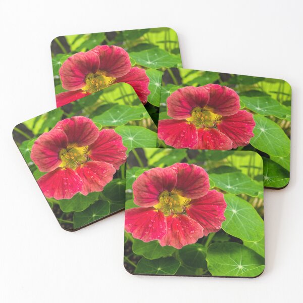 Item preview, Flower after the rain designed and sold by CanadianWild418.