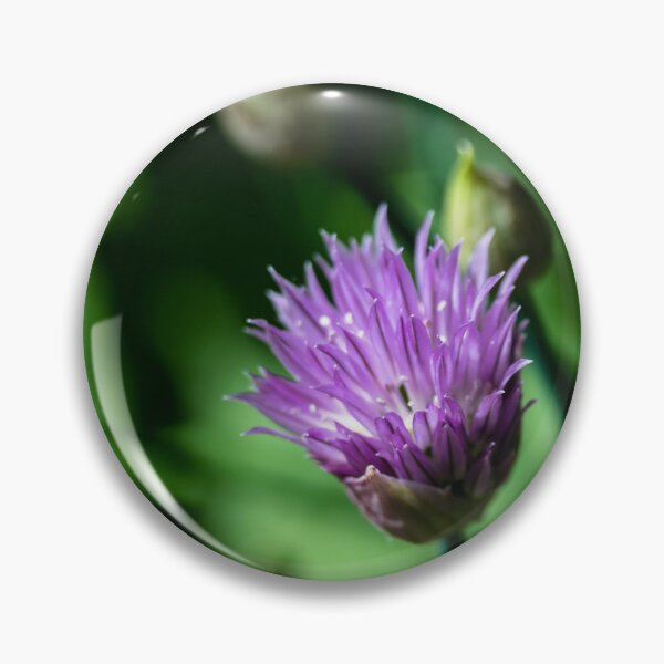 Item preview, Chive flower designed and sold by CanadianWild418.