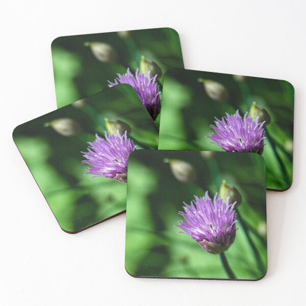 Item preview, Chive flower designed and sold by CanadianWild418.