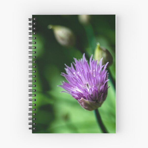 Item preview, Chive flower designed and sold by CanadianWild418.