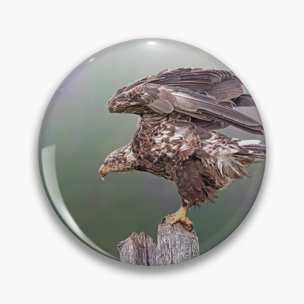 Item preview, Golden Eagle designed and sold by Alex Preiss.