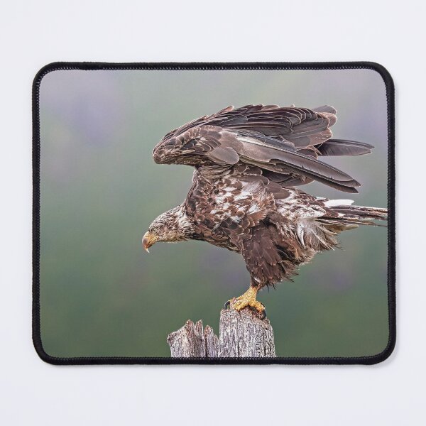 Item preview, Golden Eagle designed and sold by Alex Preiss.