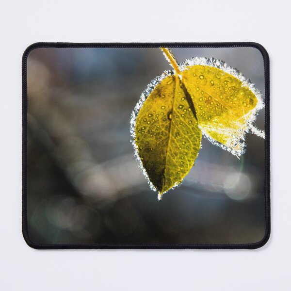 Item preview, Macros image of a frosted leaf. designed and sold by CanadianWild418.
