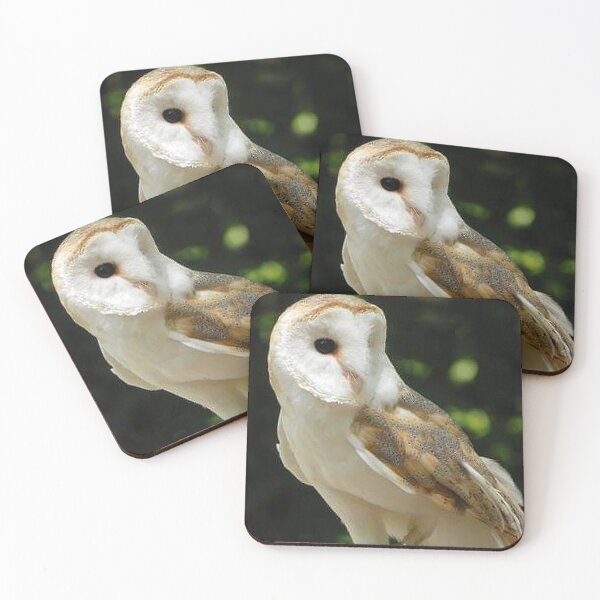 Item preview, European Barn Owl  designed and sold by BirdsnStuff.