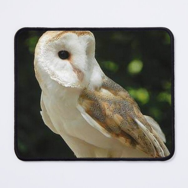 Item preview, European Barn Owl designed and sold by BirdsnStuff.