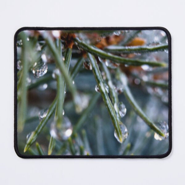 Item preview, Macro of a pine tree bough designed and sold by CanadianWild418.