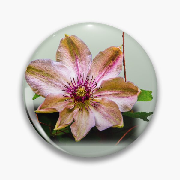 Item preview, Botanic splendour designed and sold by indiafrankk.
