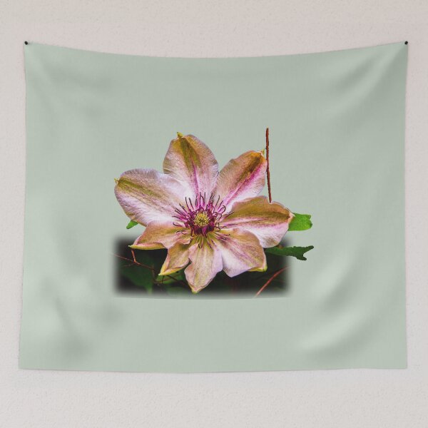 Item preview, Botanic splendour designed and sold by indiafrankk.